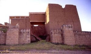 Modern Day Nineveh